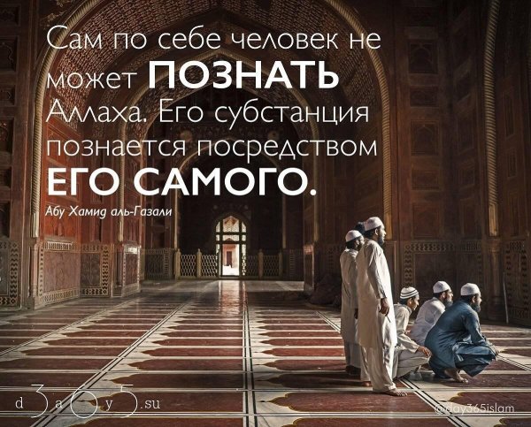 красивые хадисы