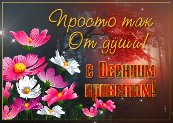 осенний приветик
