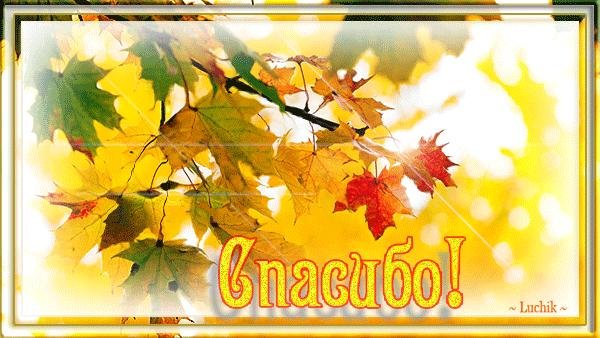 спасибо осеннее