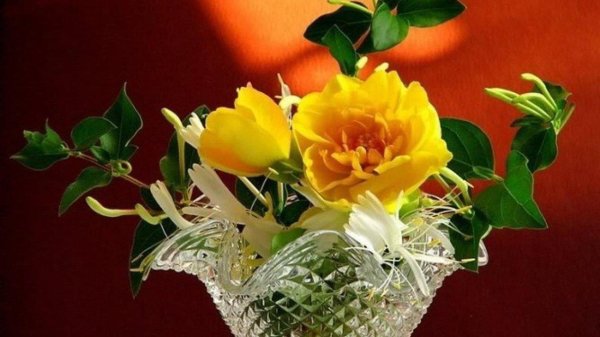 букет желтых роз