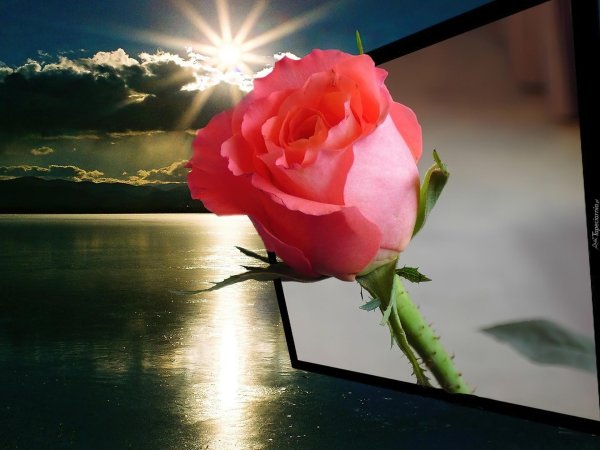 красивого доброго вечера