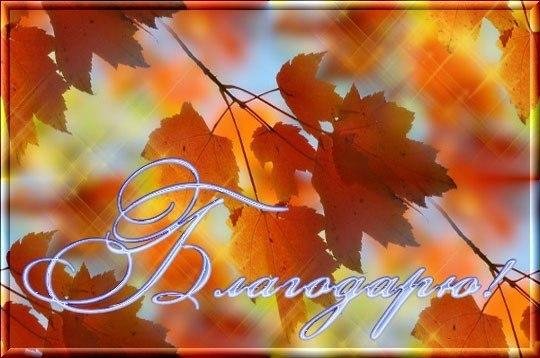 Автору браво