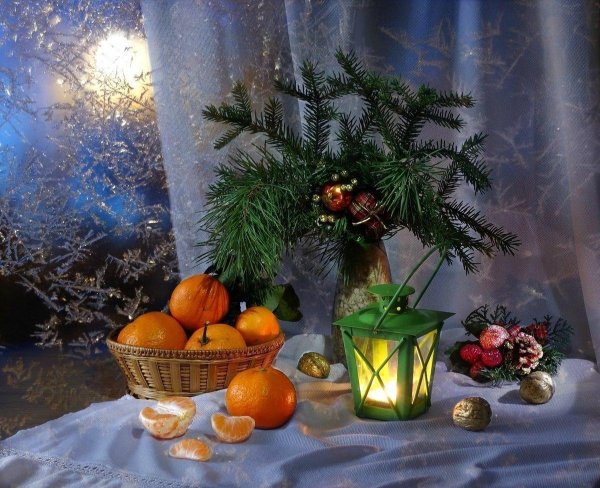 натюрморт зимний