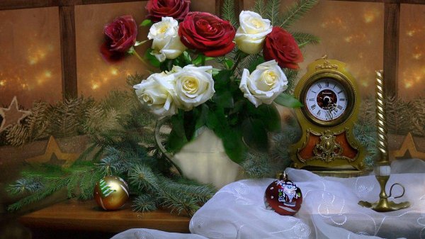 валентина колова натюрморты