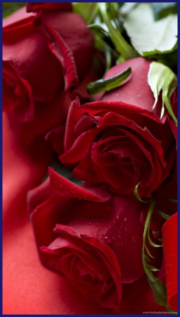 цветы для любимой