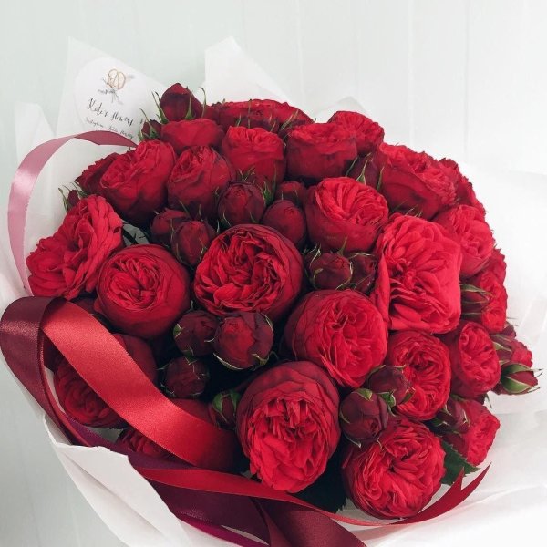 пионовидная роза