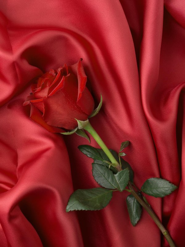 красный шелк