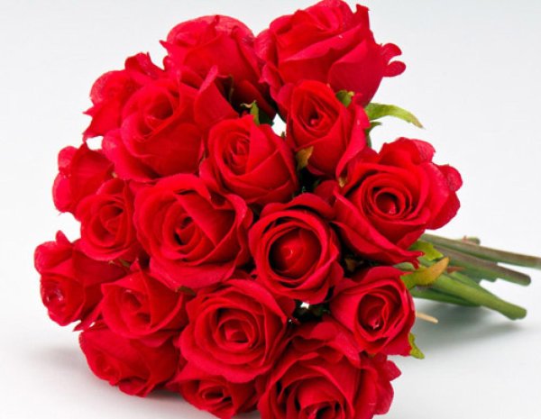 букет роз