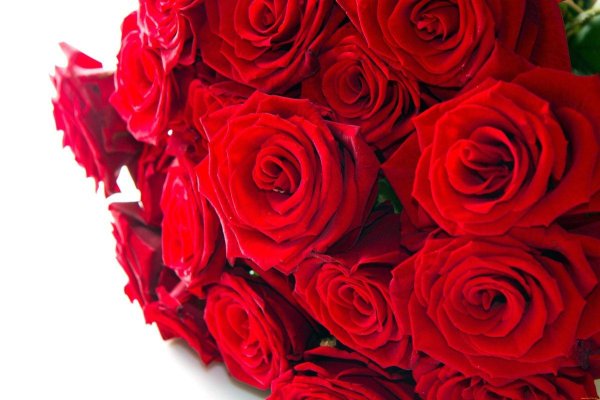 шикарный букет красных роз