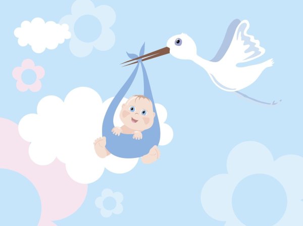 аист несет ребенка