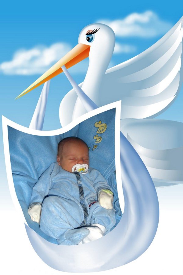 аист для детей