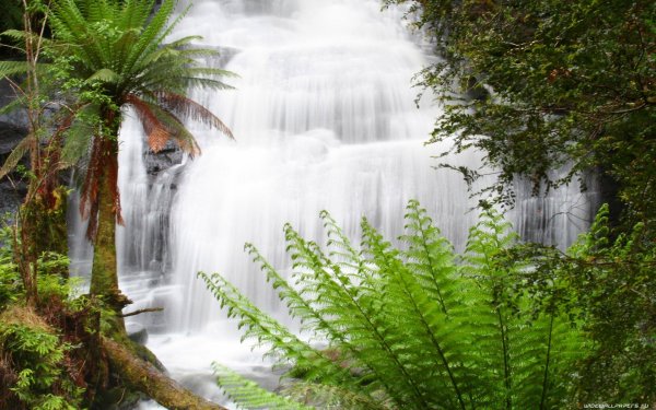 живая природа водопады