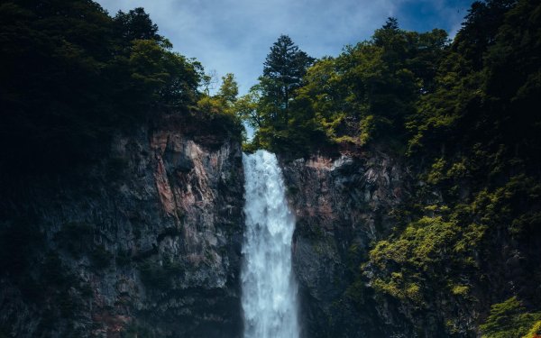 лес водопад
