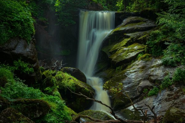 лес с водопадом