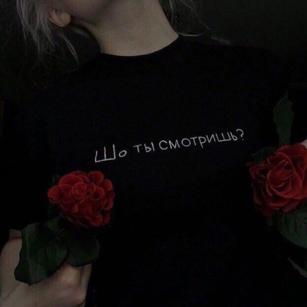 сохры с надписями