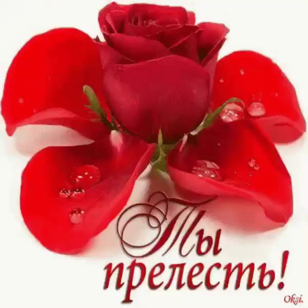 Для девушек с надписями