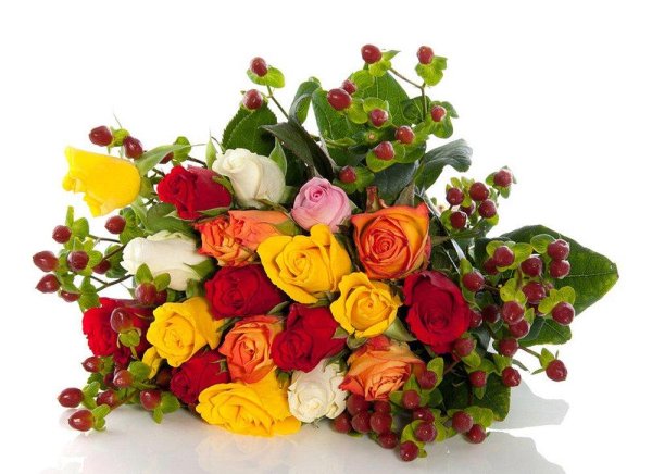 желто красная роза