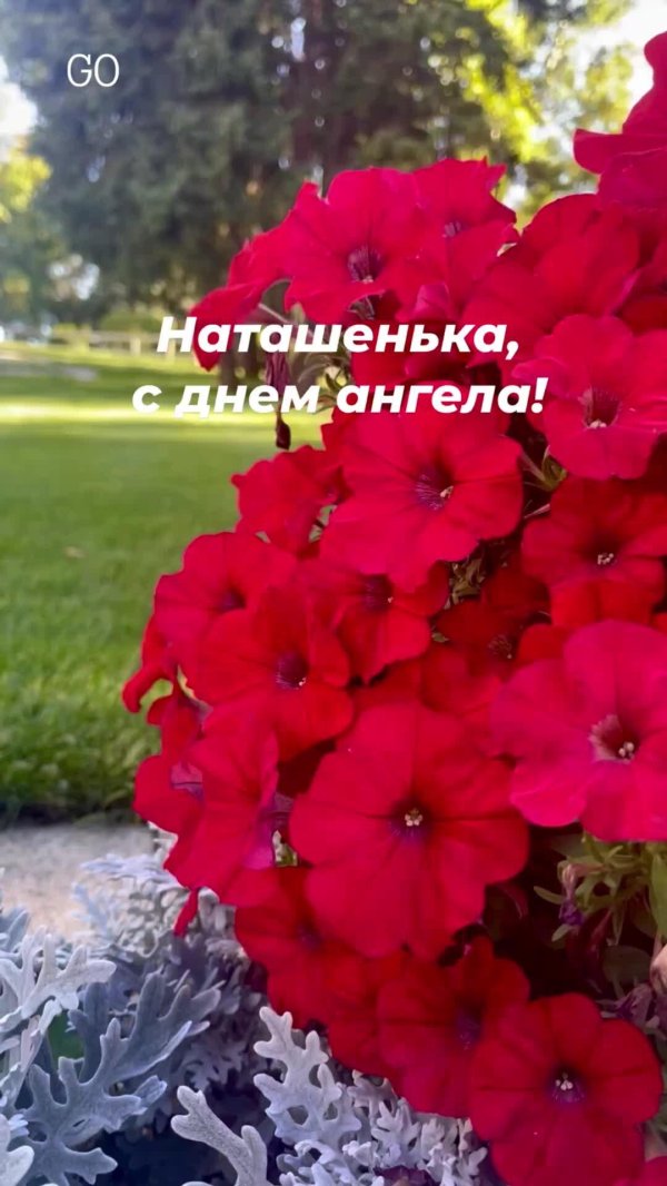 день натальи