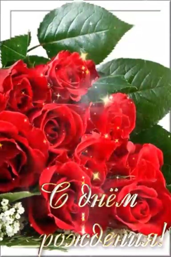 открытка с розами