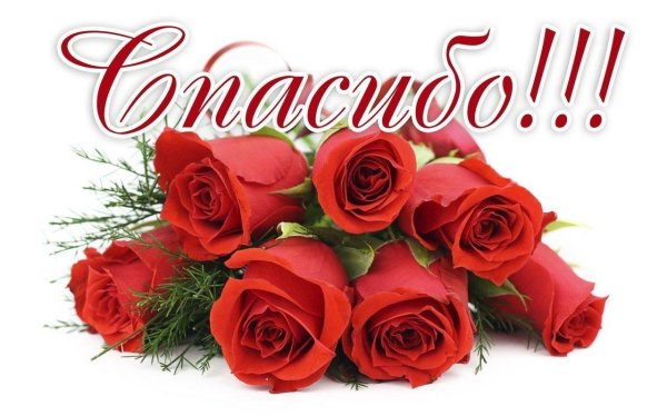 благодарю цветы