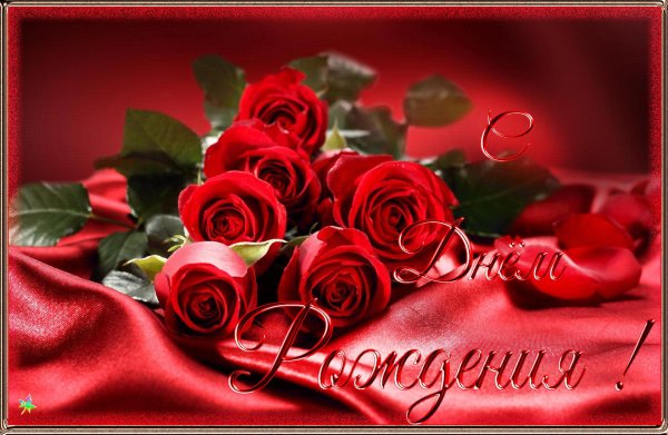 открытка с красными розами