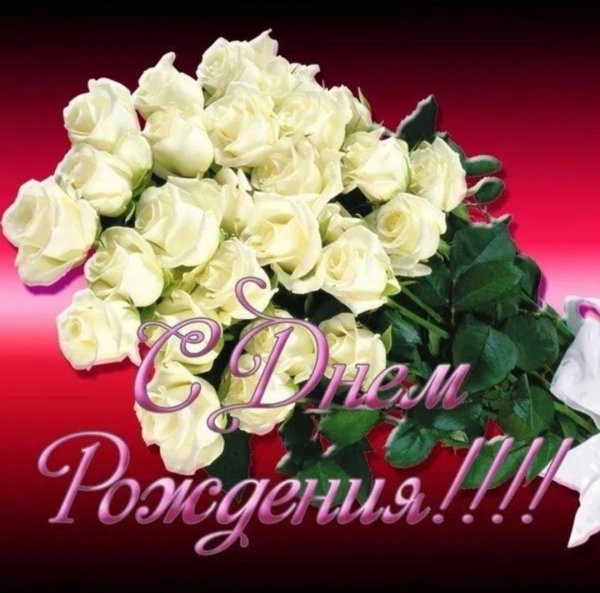 с днем рождения белые розы открытки
