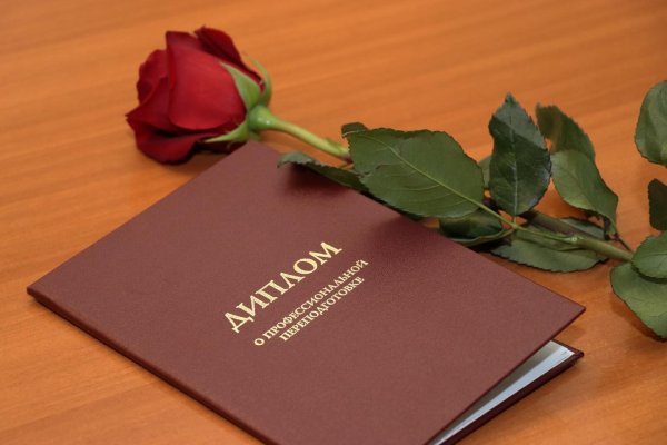 красные дипломы