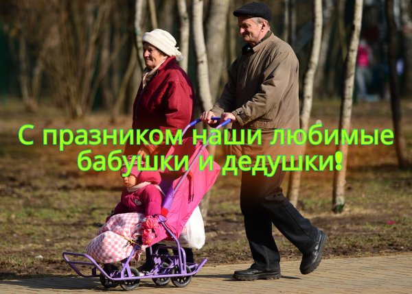 день бабушек и дедушек в 2024 году