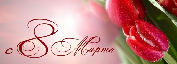 международный женский день 8 марта открытки