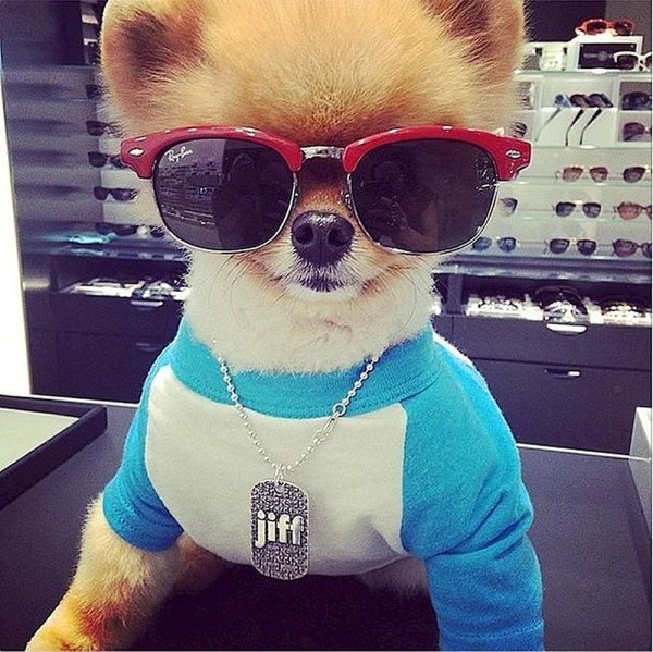 крутая собака