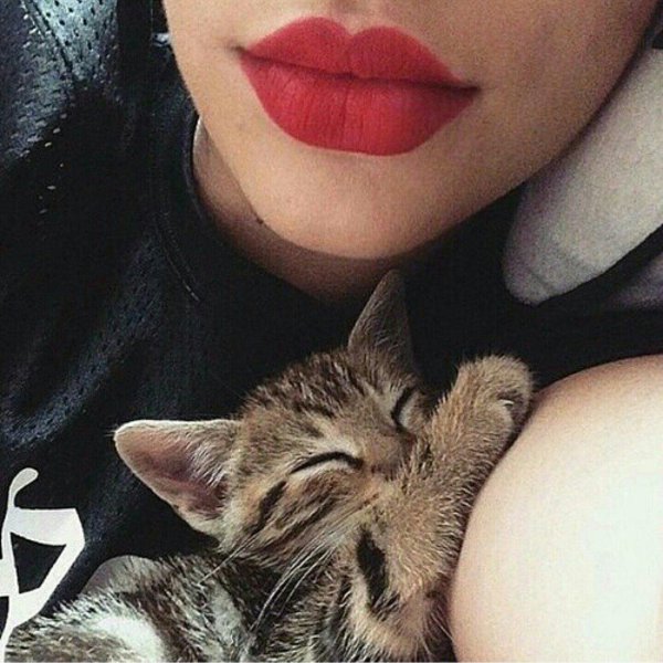 кот девушка