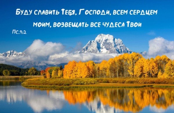 библейские стихи