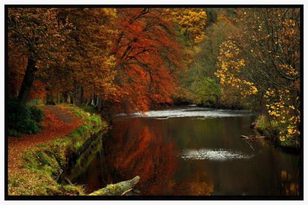 природа осенью