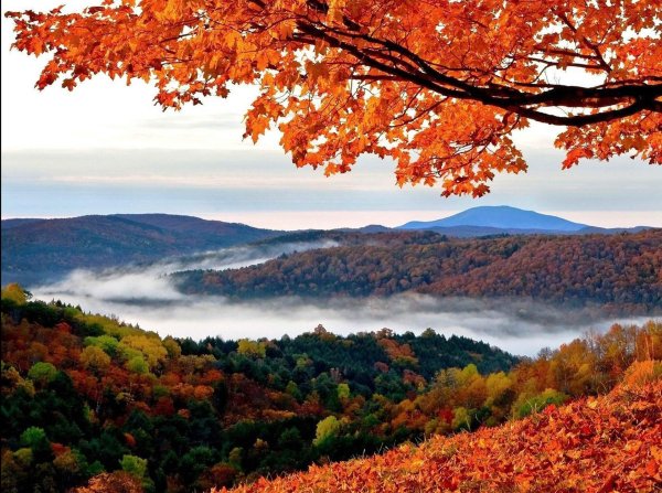 autumn landscape new england