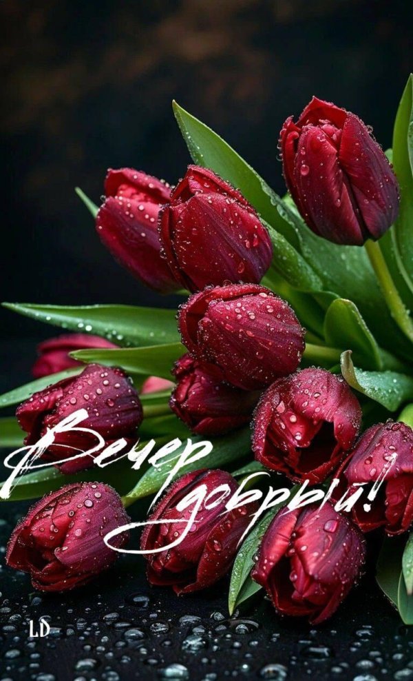 добрейшего вечера