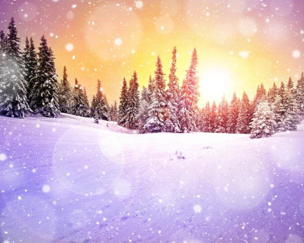 зимнее солнцестояние