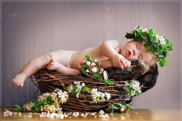 фотосессии новорожденных