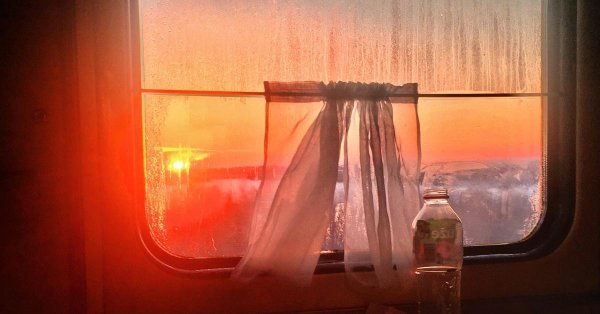 красивый вид из поезда