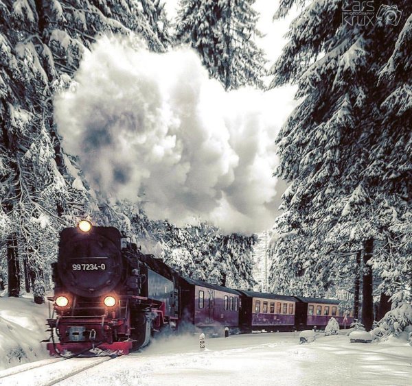 паровоз гарц германия