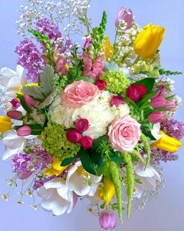 цветов букет