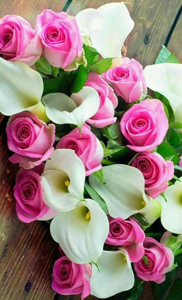 цветы букеты шикарные