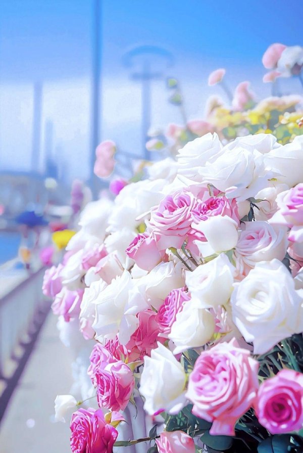 цветочные фоны