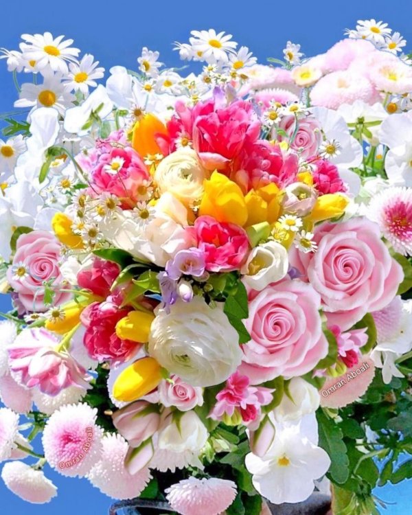 нежные букеты цветов