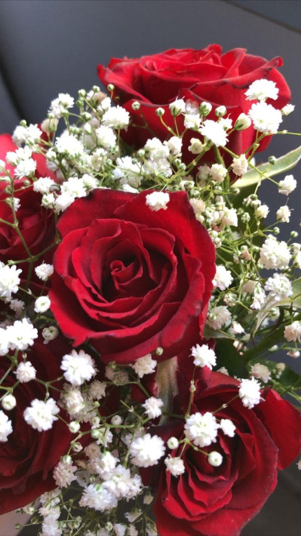 роза и гипсофила