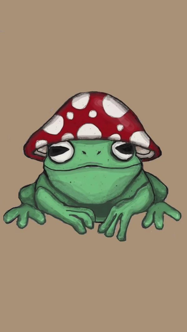 лягушки арты