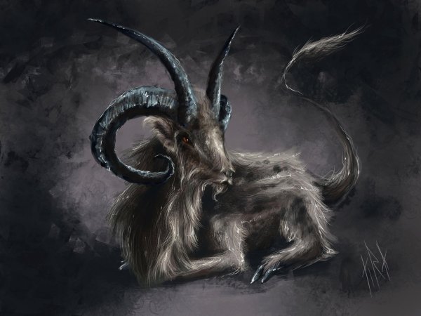 козел животное