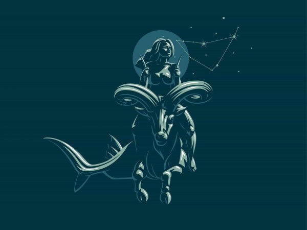 созвездие козерога capricorn