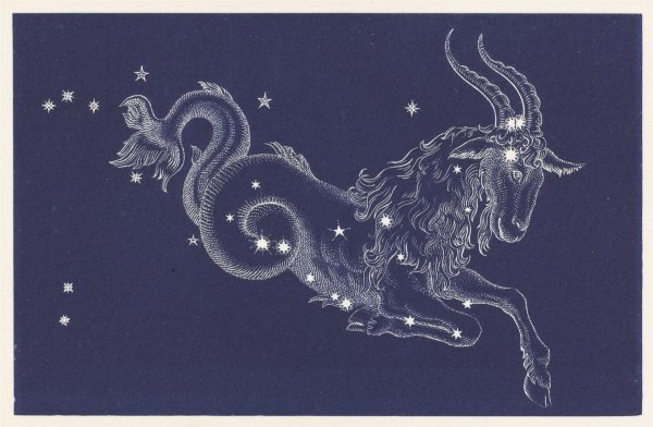 созвездие capricornus
