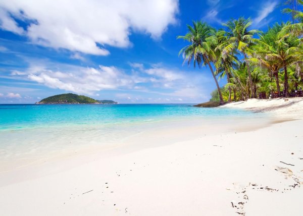 пляж с пальмами