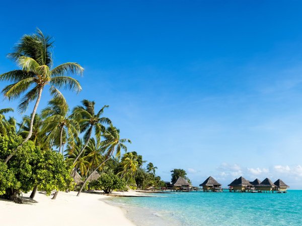 море пальмы тайланд